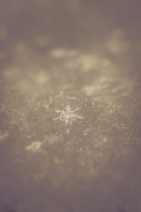 Snowflake, close-up Snowflake, close-up